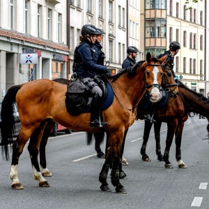Polizei auf Pferden